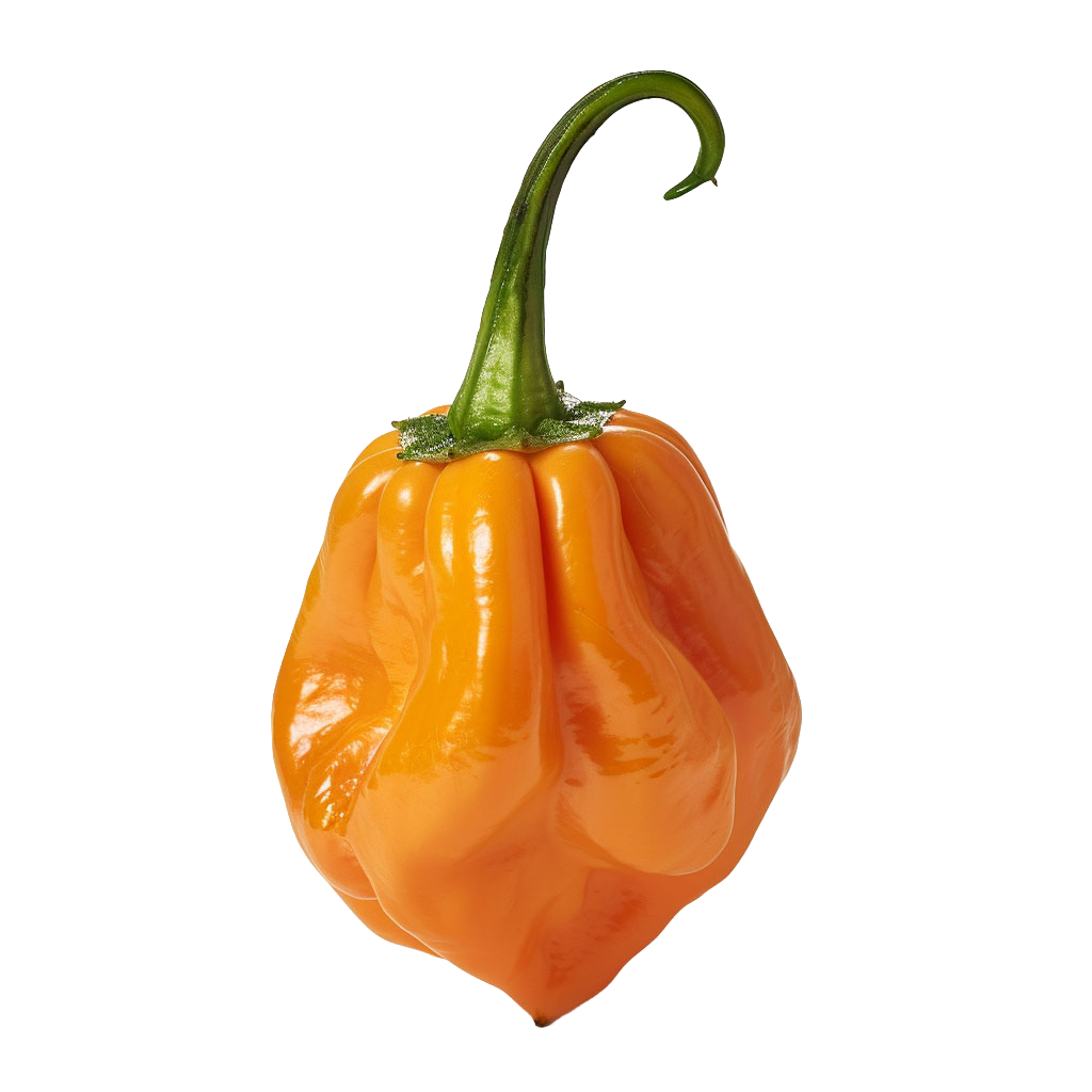 Habanero